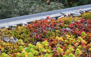 the cost of Long Cross green roof installation