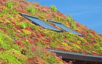 Long Cross living roof systems