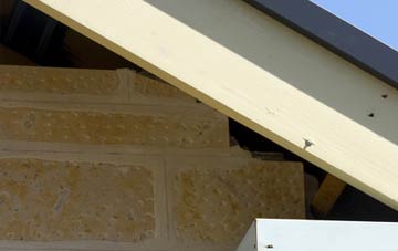 soffit repair Long Cross