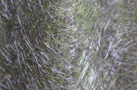 Long Cross fibreglass roof work